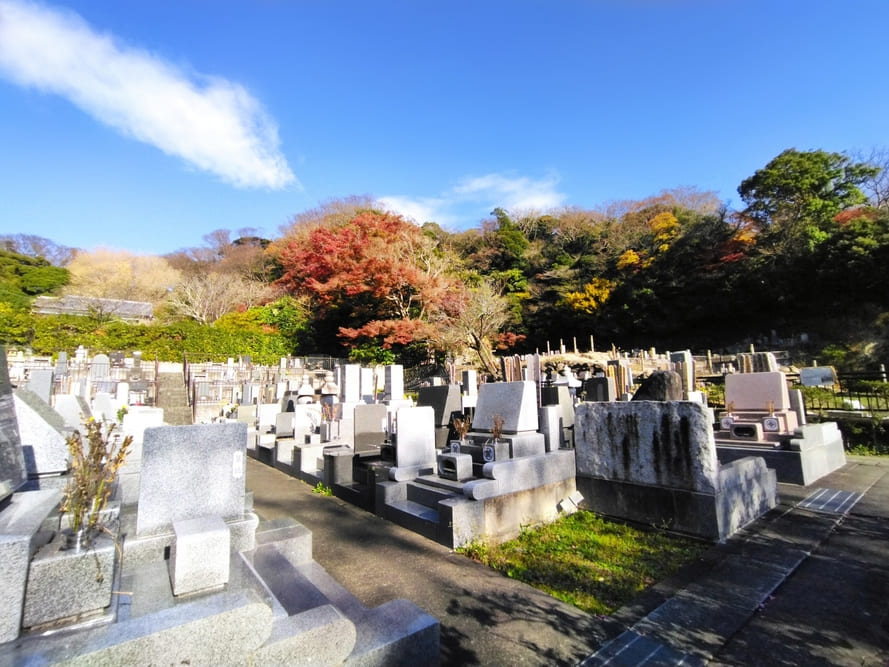 墓じまい後の納骨にかかる費用