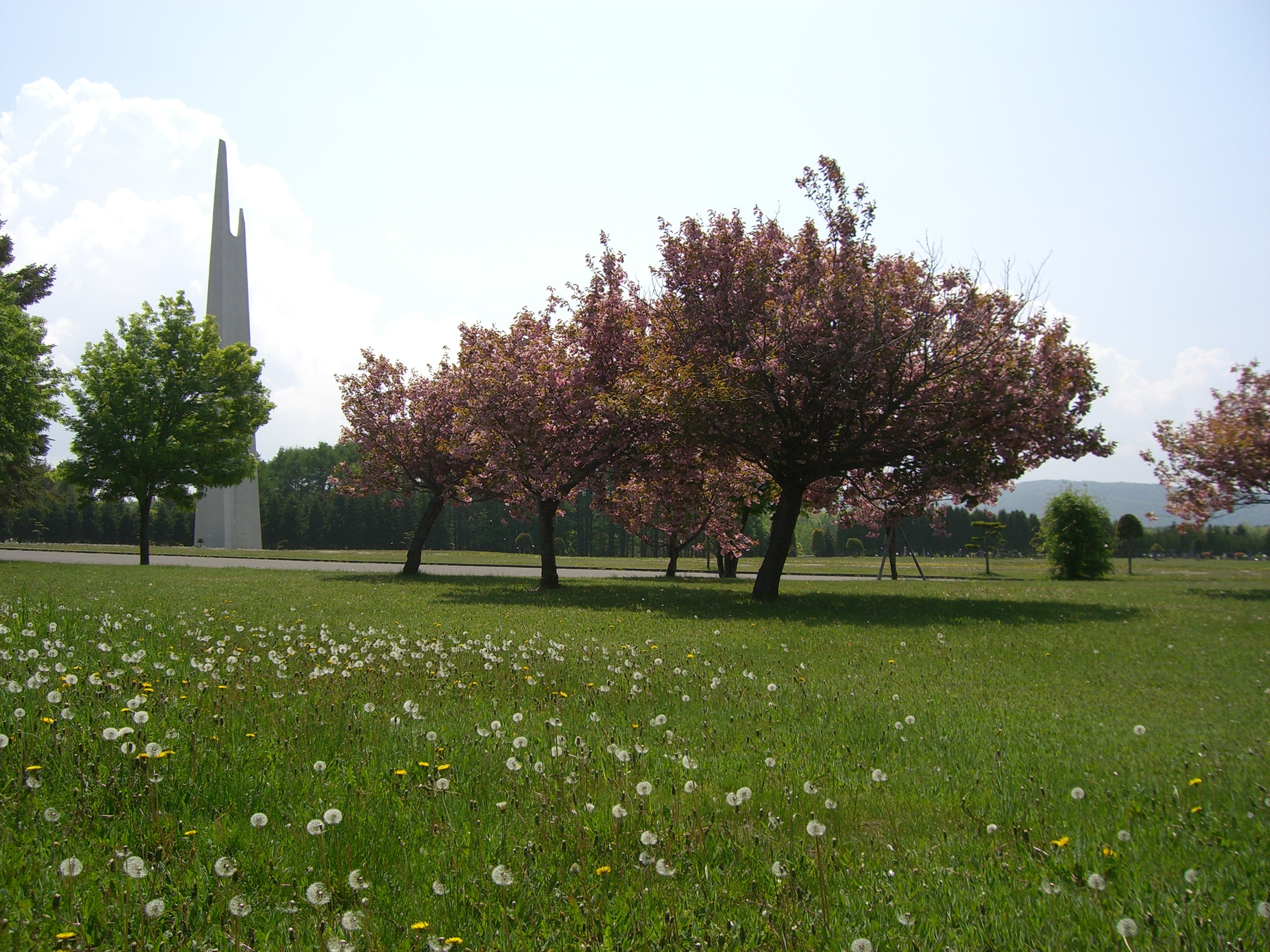 里塚霊園 001.jpg